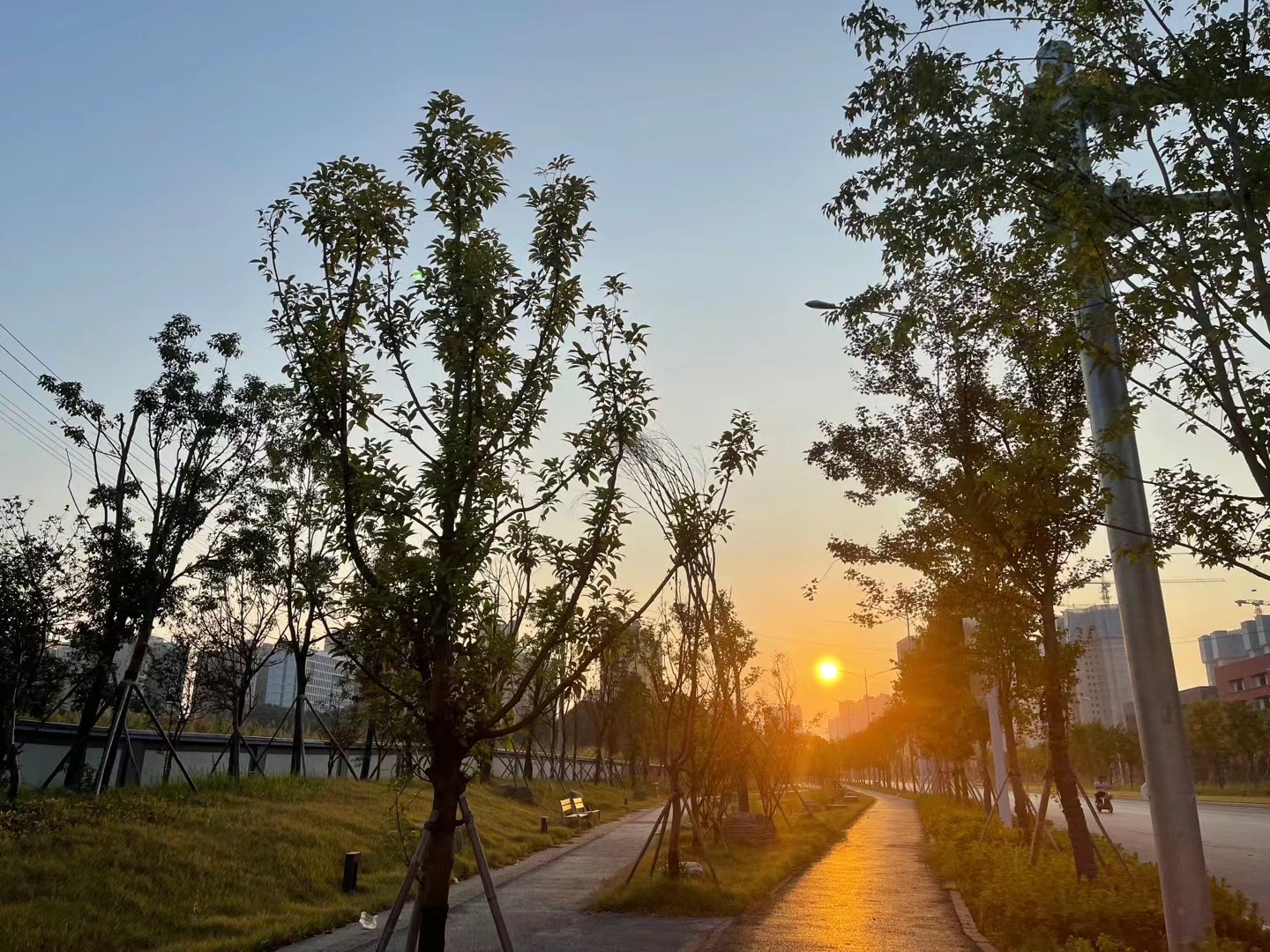 秋日清晨，逸起来晨跑，享受秋高气爽好时节