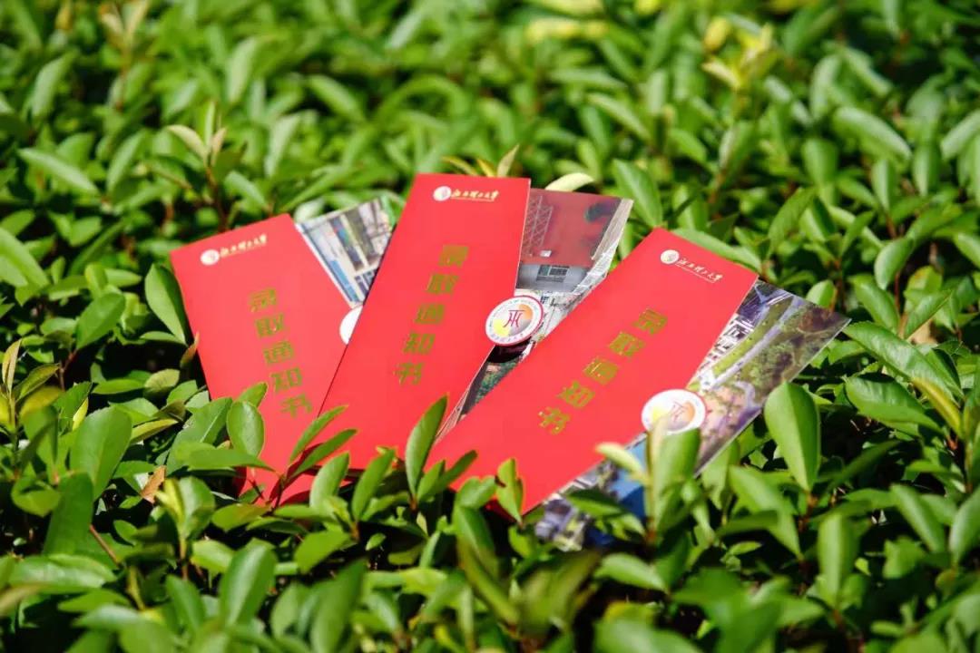 今年江西大学的录取通知书，又是毕业生的痛