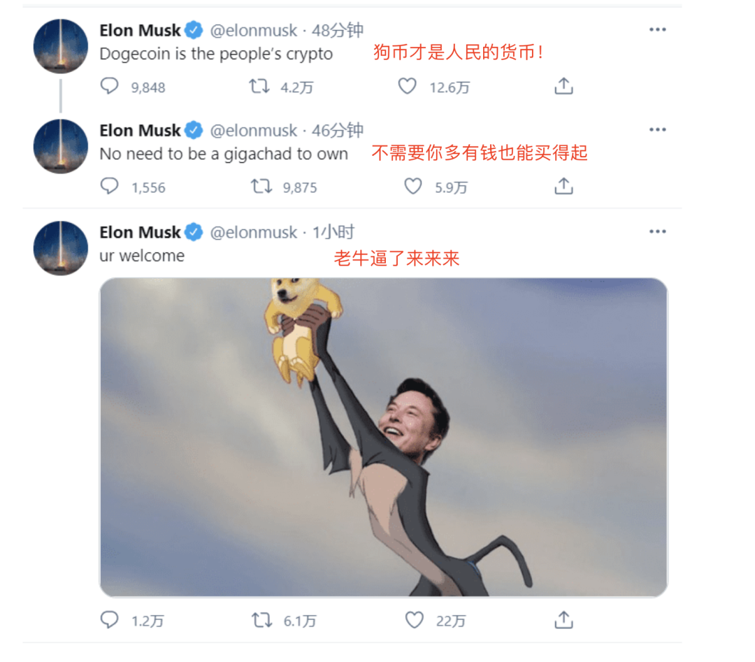 币圈疯了：炒完狗币炒屎币，下一步是炒LowB？