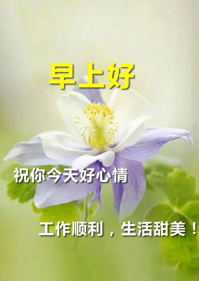 「2021.11.11」早安心语,正能量最新短句图片,双十一光棍节