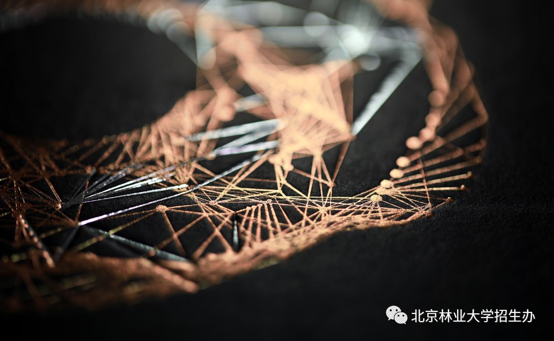 为了讲好八个字的校训，这所学校用了三年...