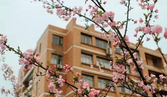 浙江理工大学2016-2018文理类分省录取分数