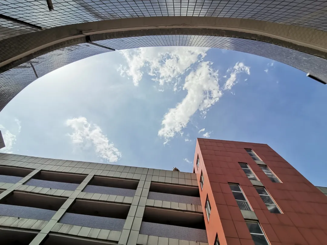 市外招收学生120人！绵阳外国语学校2020年高中招生公告出炉