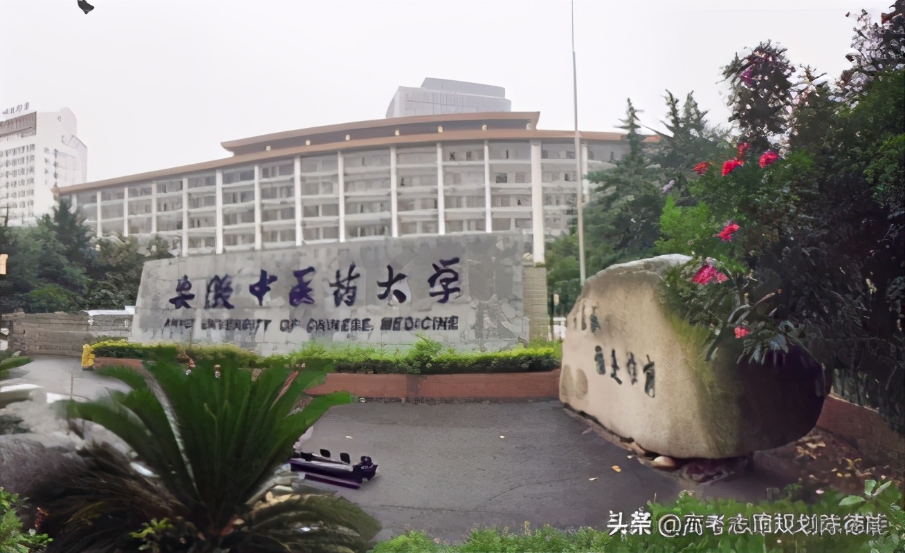 全国中医本科院校学科实力排行榜