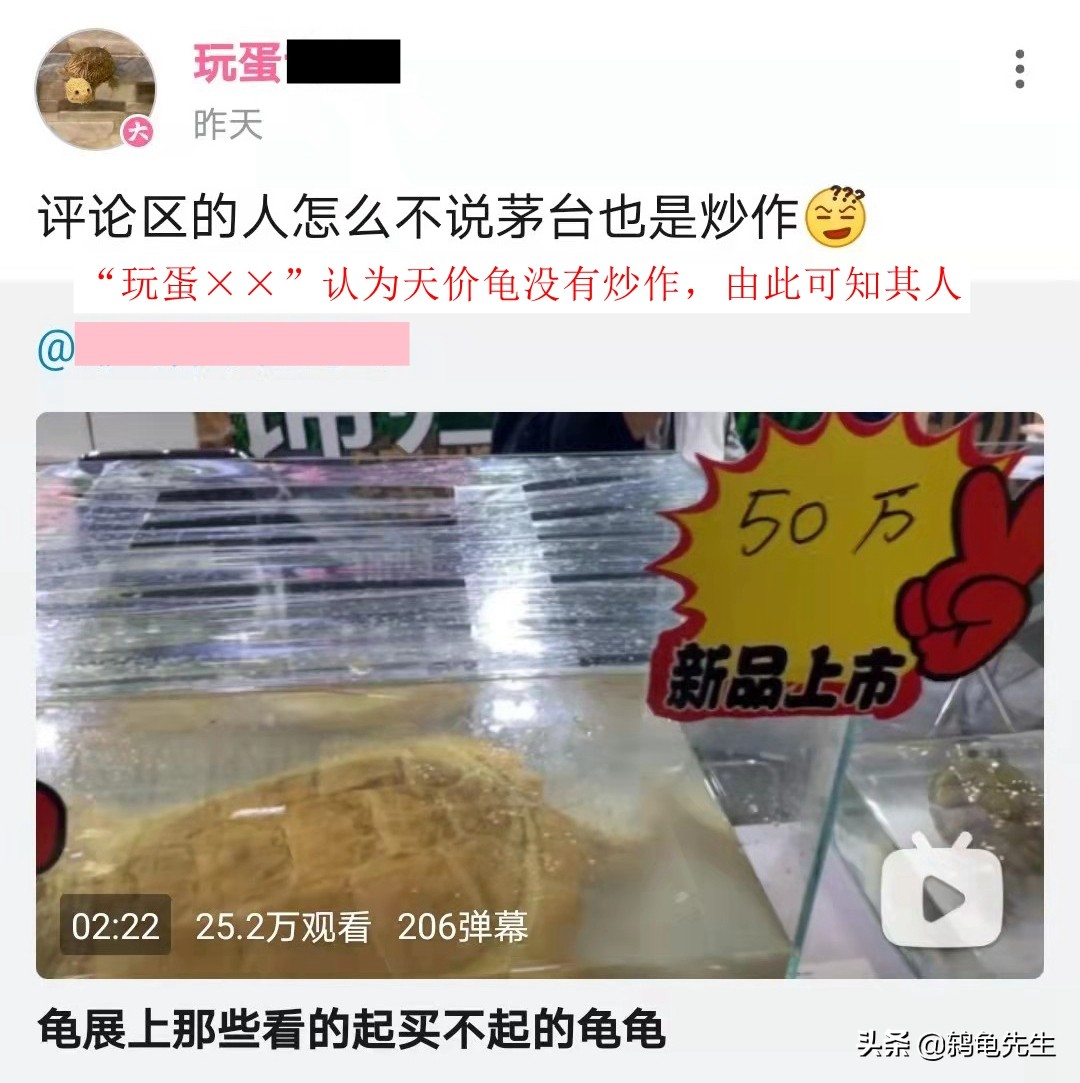 3元就买到一只黄喉小青龟？双十一网上低价捡漏买乌龟的方法技巧