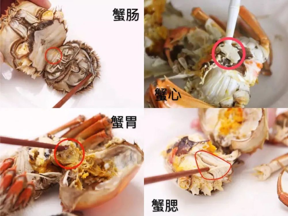 螃蟹不能和哪些食物一起吃，食物禁忌要牢记？