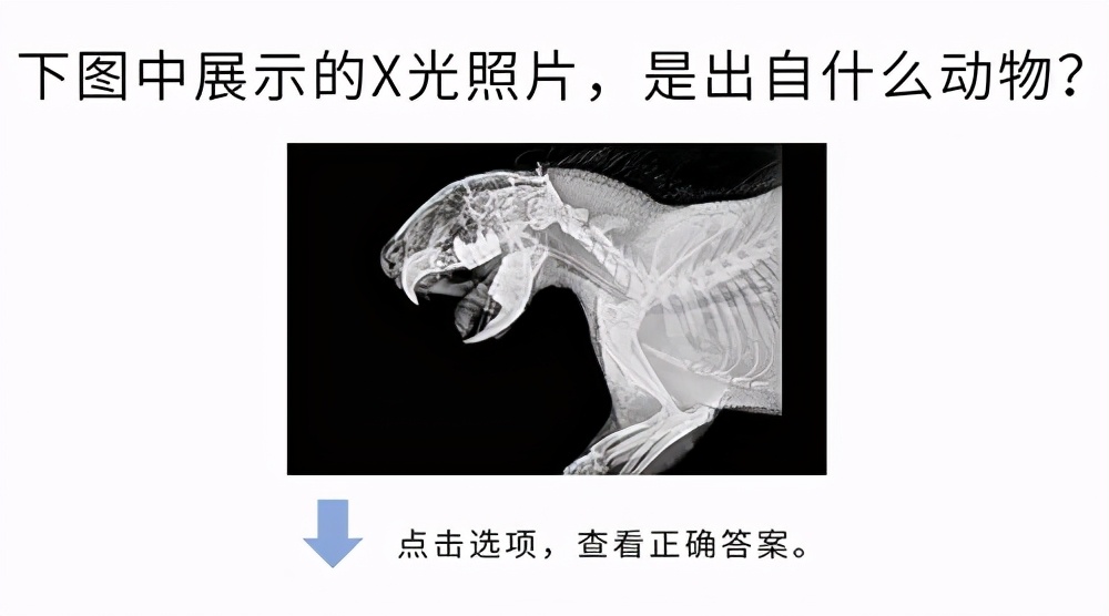 高考大作战！20道冷门又难解的试题等你来解答