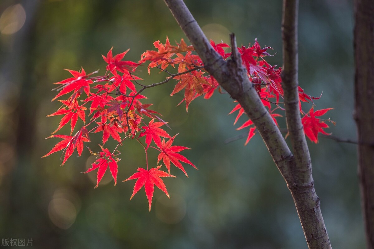 6個智慧金句，個個警醒世人，助你預防人性墮落