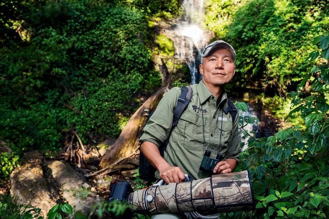 这是我狼哪位摄影大师(中国野生生物摄影年赛：用照片让野生动物过上向往的生活)