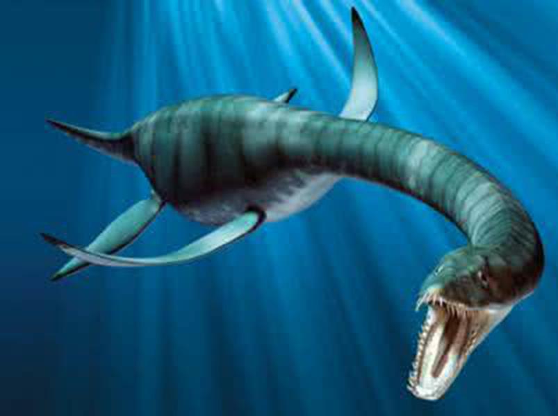 侏罗纪晚期的代表——海鳗龙