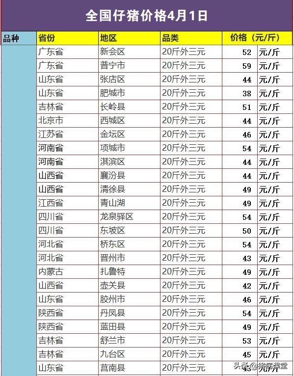 禄劝40公斤仔猪今日多少一斤，禄劝今日仔猪价格表最新