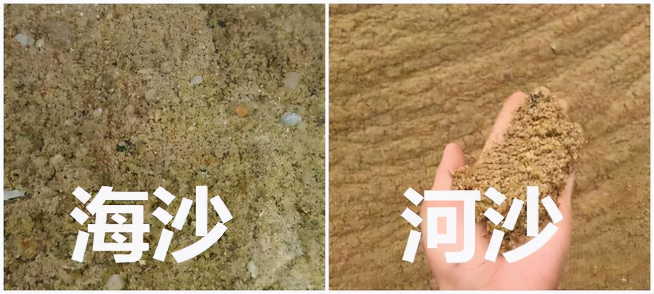 这些沙子有什么作用?