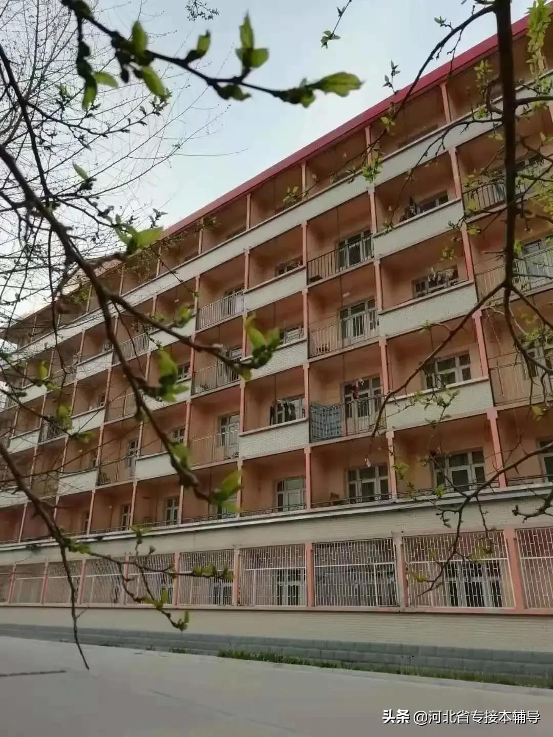 衡水学院：相比上一年招生减少1/3的名额