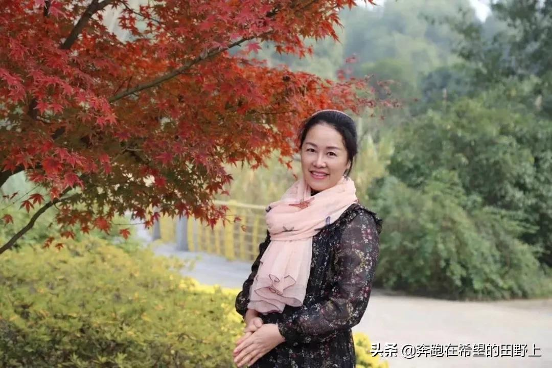 我有一碗肉,足以慰风尘