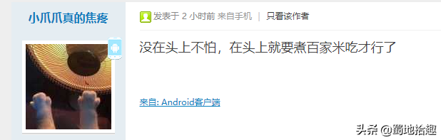 鸟屎掉身上到底是福是祸，条友们怎么看？