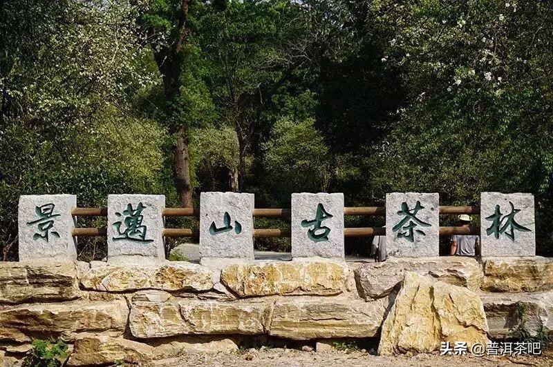 普洱茶批发市场在哪里?（普洱茶批发具体位置）-第2张图片-意茶轩网