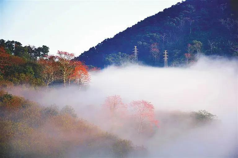 海南十大绝美景点，都是本地人最爱去的地方，或许你一个都没去过