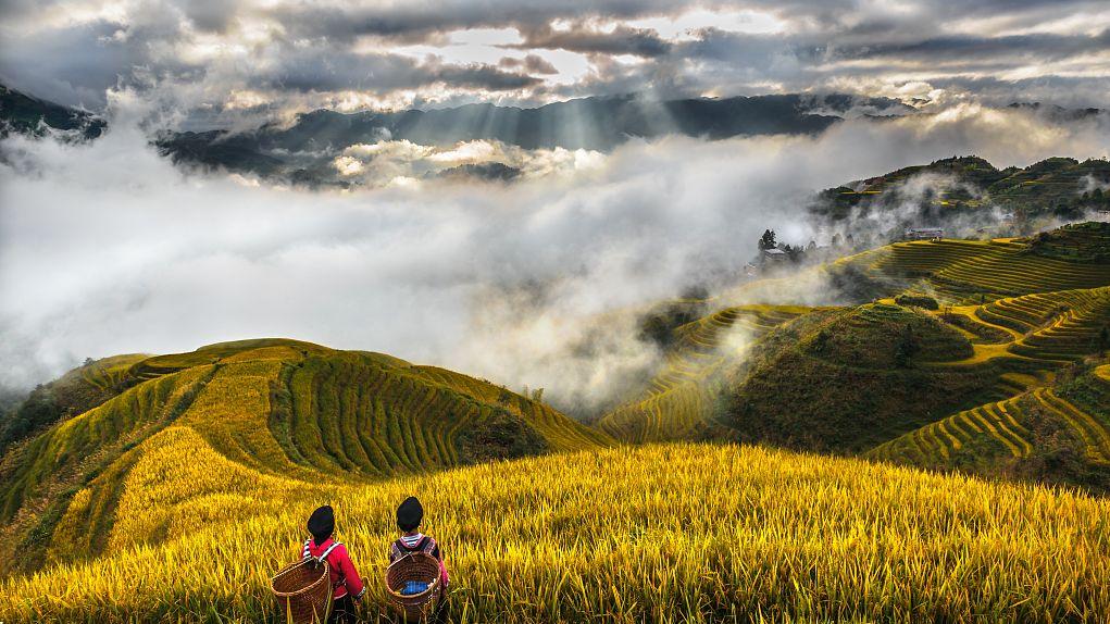 《乡土中国》最准确的十句话，熟人社会，少契约却守规矩