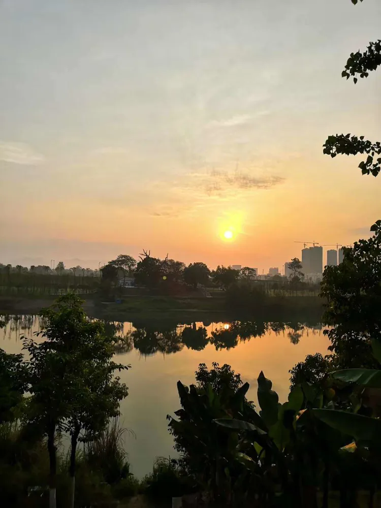 遥寄相思的生日祝福