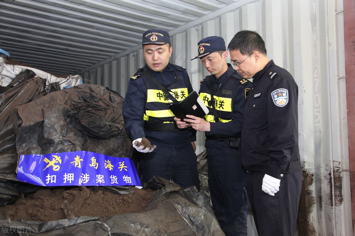 貂多少錢一只,貂多少錢一只 寵物