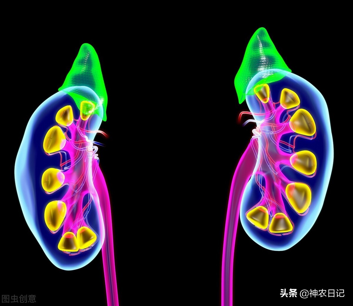 29岁男子从发现泡沫尿到尿毒症仅3年，医生：只因忽视了这3点