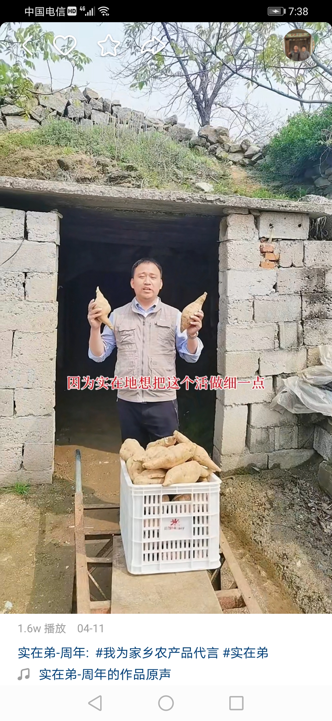 杨树行村秘史：实在弟再返场去意徊徨，小胖妹二进局来归迷途