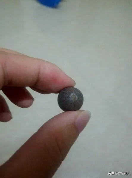 它曾是乾隆儿子的随身物,估价到8万,现在夏天就能随意买到