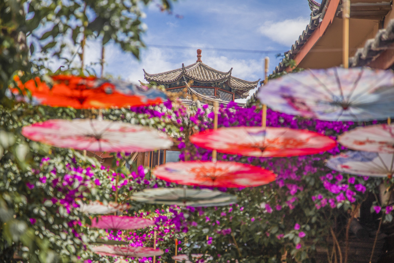 从丽江到泸沽湖，水性杨花开满六月天