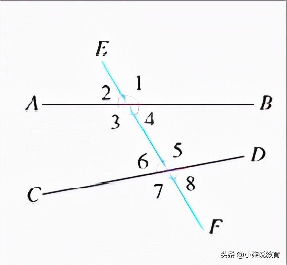 七年级数学下册知识点归纳之相交线和平行线，网友：已收藏转发