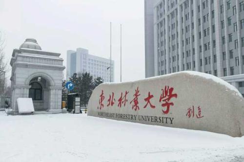 「最新」2020年承认河北美术联考院校名单