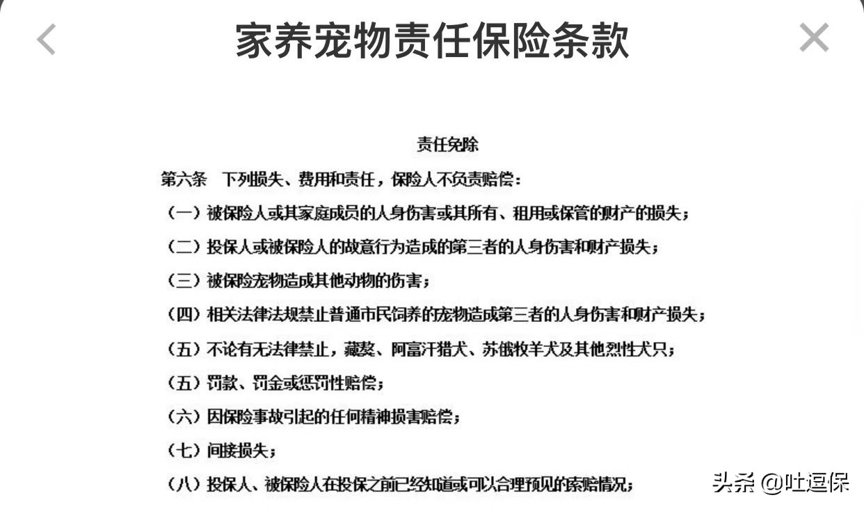 给宠物看病太费钱？省钱妙招快拿去