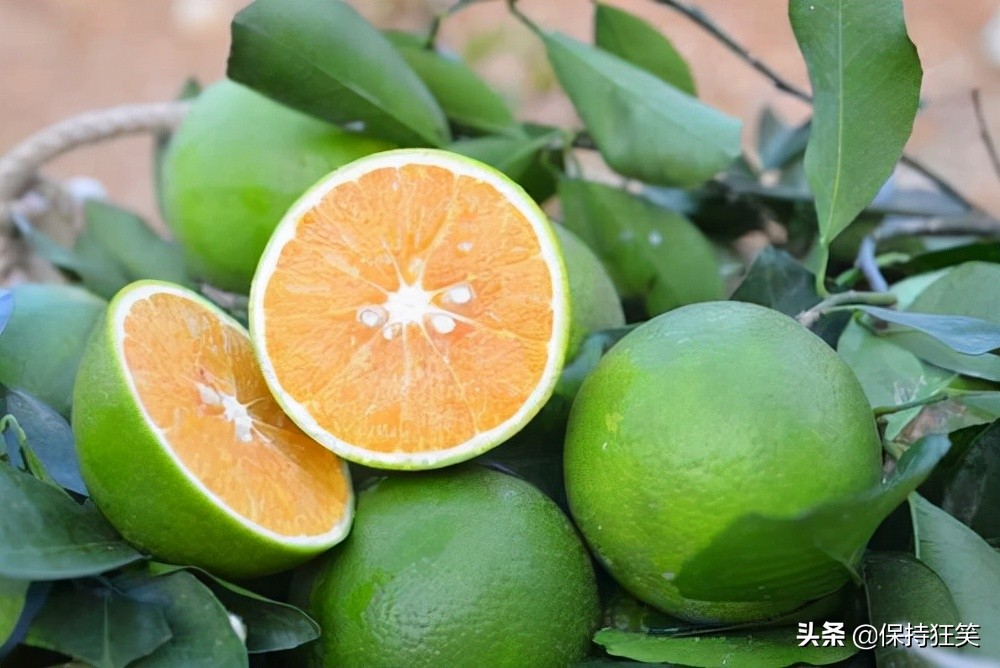 海南省十大特产 海南有哪些土特产 海南著名特产排行榜