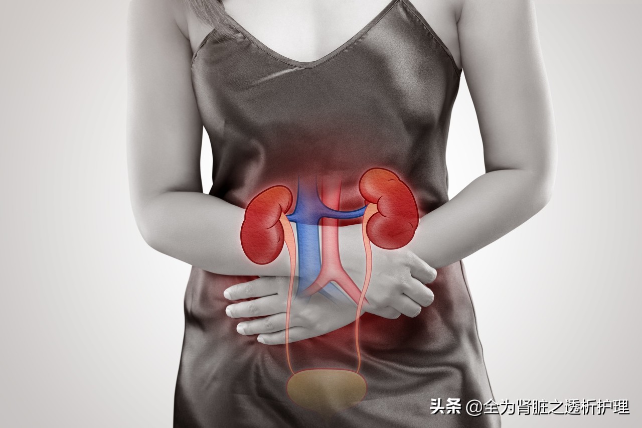 肾的呵护与护理