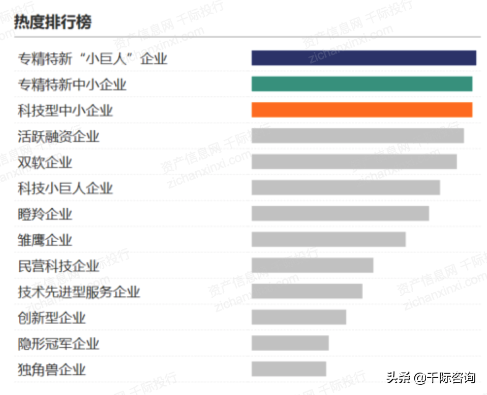 2021年中国优势企业发展研究报告