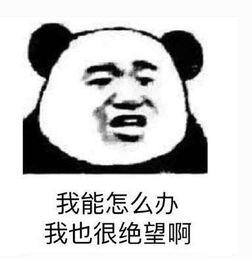 苹果手机也会变卡？这样清理一下这4个按钮，让手机流畅起来