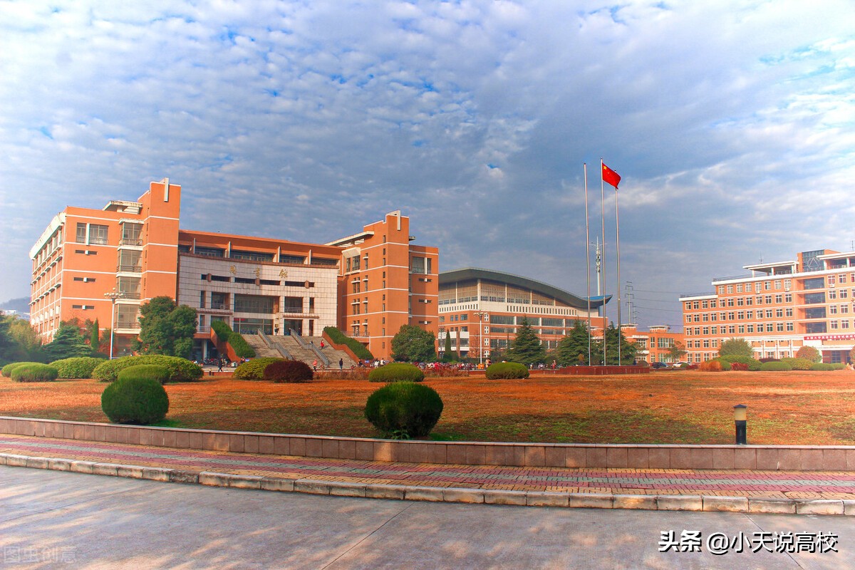 安徽省属高校一流本科排名，安大无悬念第一，安理工意外逆袭