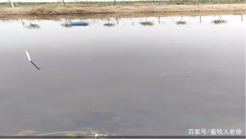 Ϻ̦Ѵ̦Ϻηˮ-Ѷ