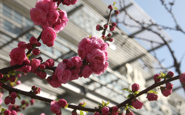 北方工业大学 2016-2018各地区录取分数线