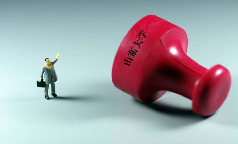 辽宁这4所“野鸡大学”，校名像重本实则是“陷阱”，考生要注意