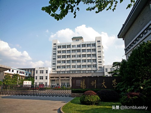 学医不一定非医科大学不可（四）