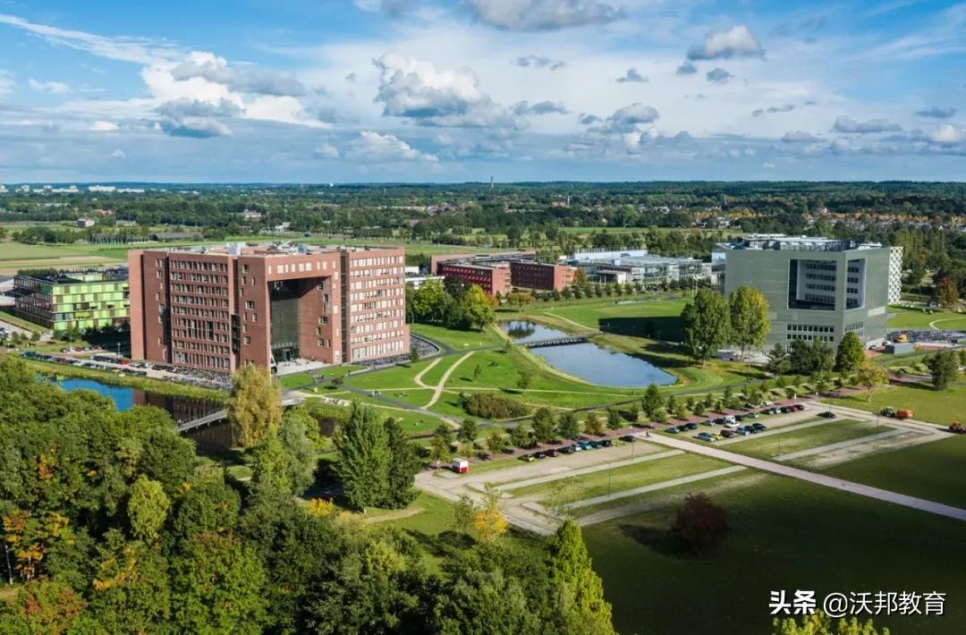 校名“野鸡”实际上却是专排世界No.1的隐藏大boss院校