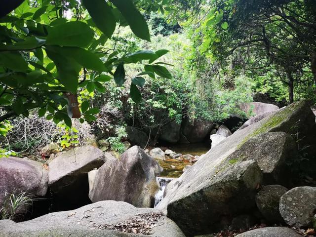 都市人的后花园 深圳横岗园山风景区一日游 溯溪游玩的好去处