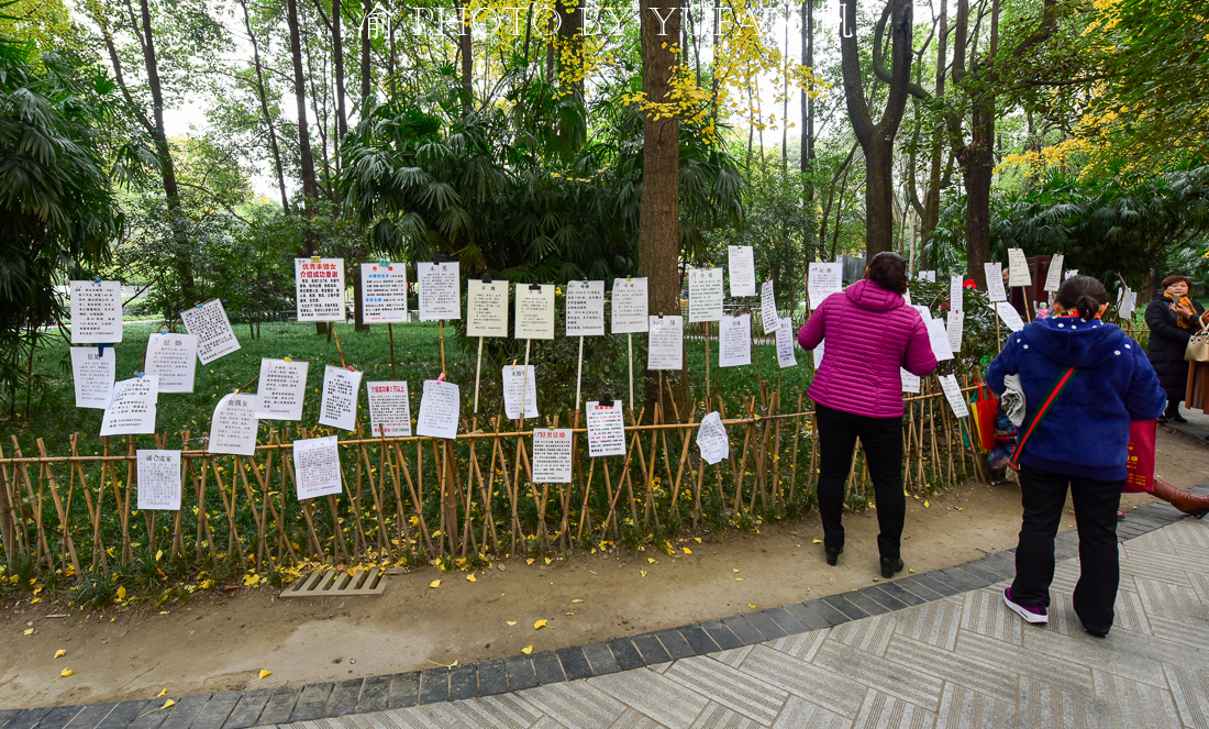 沈阳龙之梦相亲角(我知道你想去成都玩，所以精心为你准备了一份成都吃喝玩乐全攻略)