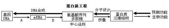高中生物选修部分基因工程知识点汇总