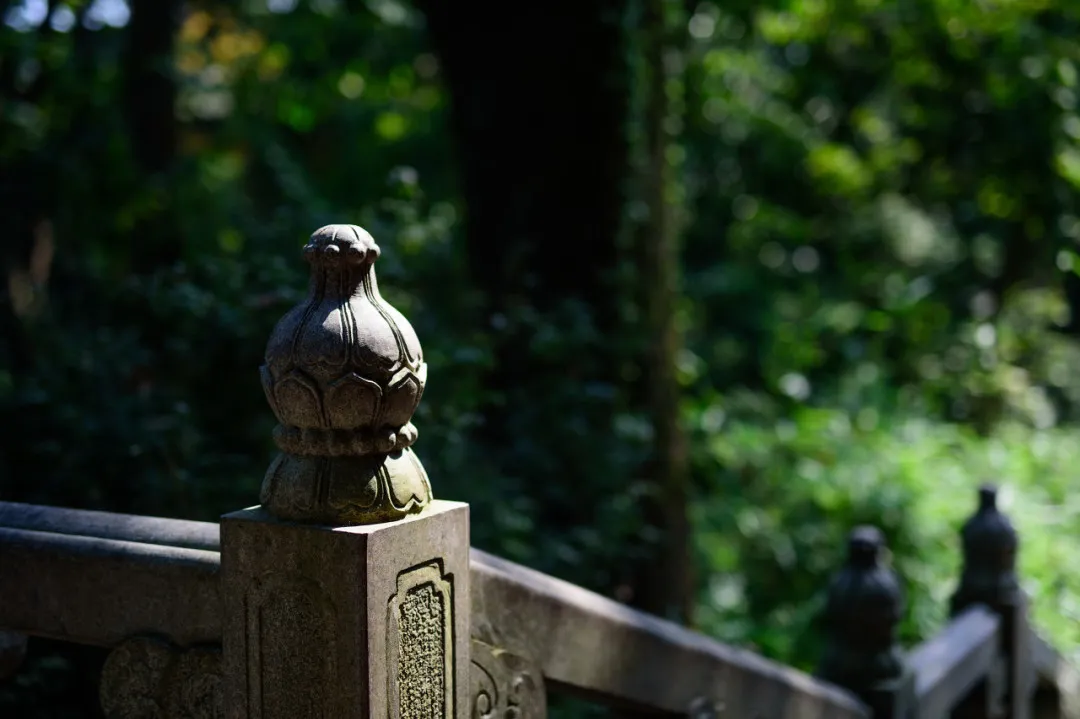 杭州终极拜佛攻略｜走这条路，一天解锁灵隐法喜7大宝藏寺庙