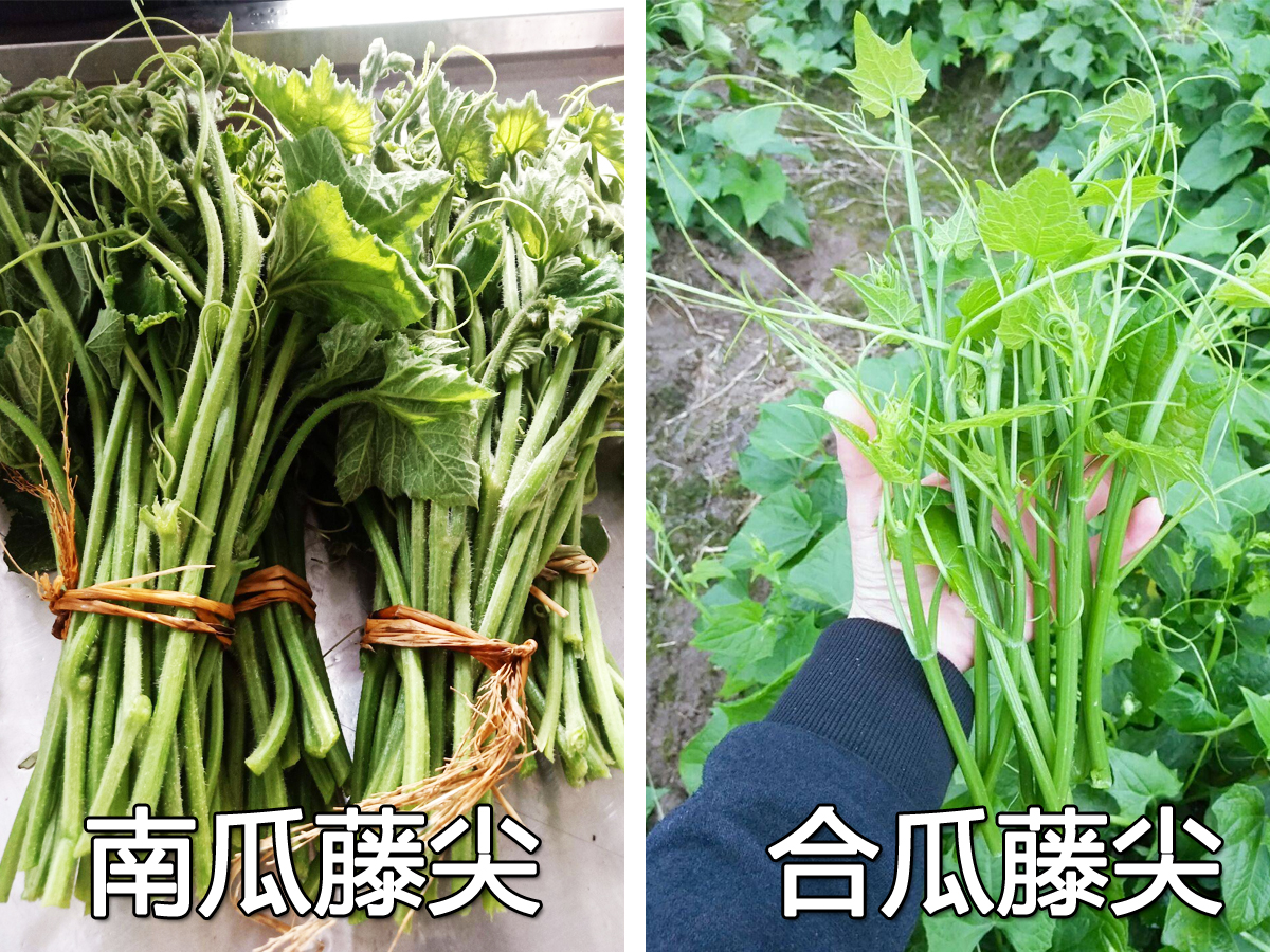 夏天，遇到这菜别错过，虽然价钱略贵，但却非常爽口好吃，值得了