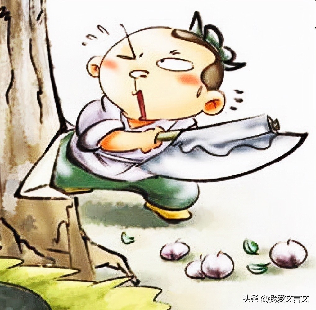 经典文言文赏析 | 斫树取果