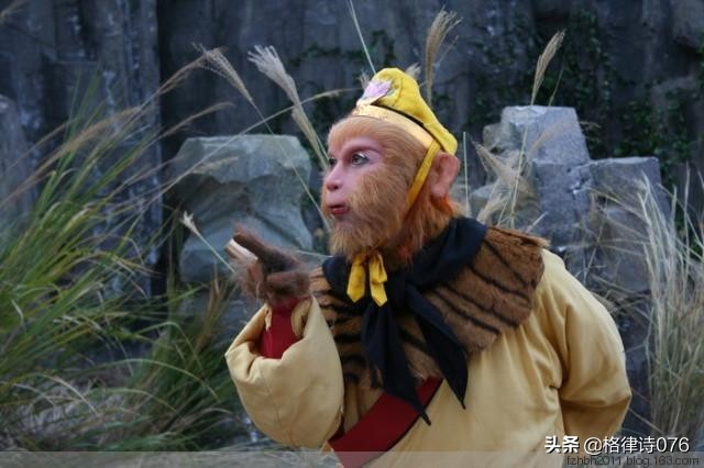 西游记，天罡三十六变与地煞七十二变区别在哪里？