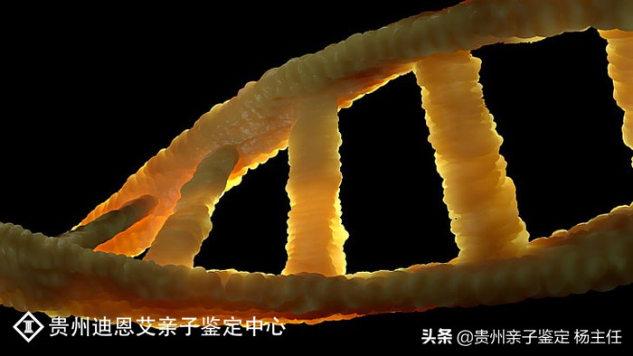 亲子鉴定多少钱一次,亲子鉴定多少钱一次需要什么