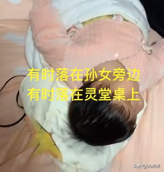 代表死亡的蝴蝶（代表死亡的蝴蝶叫什么）-第3张图片-科灵网